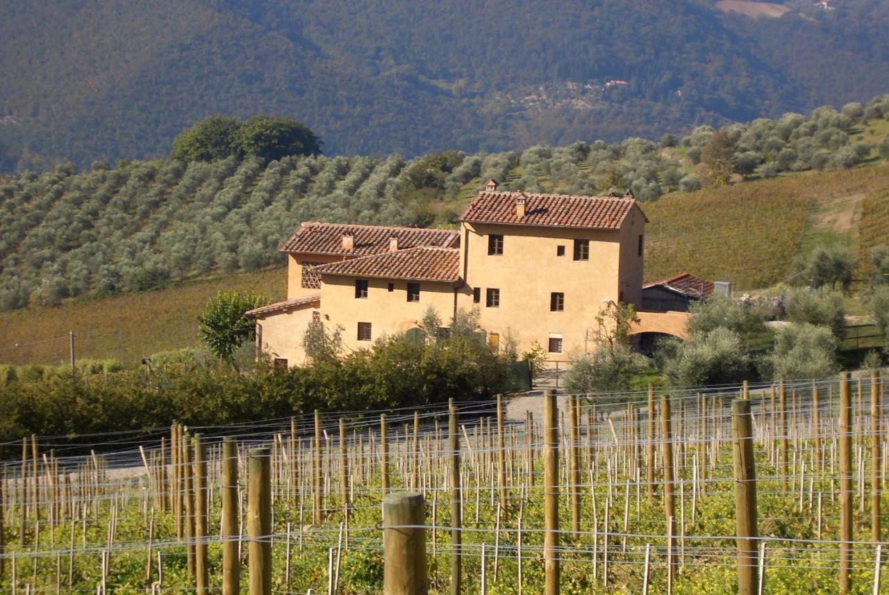 I Veroni - Agriturismo And Wine Cellar Pontassieve Εξωτερικό φωτογραφία
