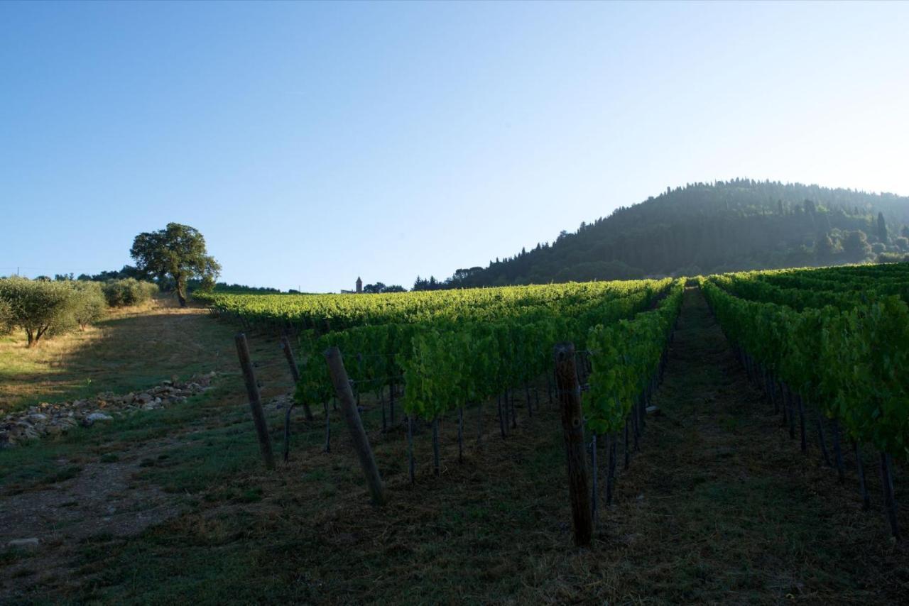 I Veroni - Agriturismo And Wine Cellar Pontassieve Εξωτερικό φωτογραφία