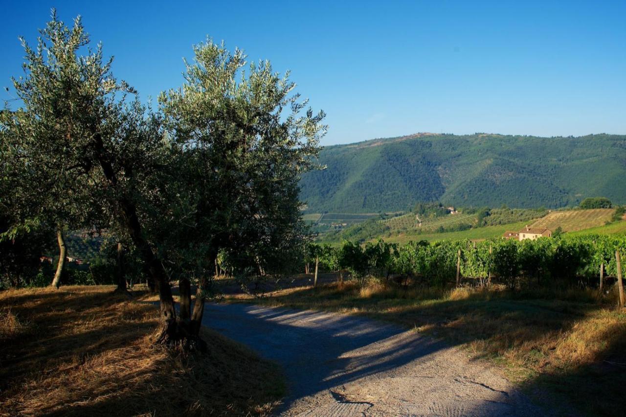 I Veroni - Agriturismo And Wine Cellar Pontassieve Εξωτερικό φωτογραφία