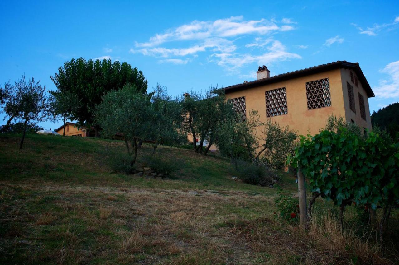 I Veroni - Agriturismo And Wine Cellar Pontassieve Εξωτερικό φωτογραφία